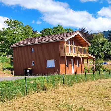 Fraize Chalet Les Boudieres 6 Pers Pres Gerardmer Cosy Billard מראה חיצוני תמונה
