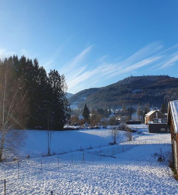 Fraize Chalet Les Boudieres 6 Pers Pres Gerardmer Cosy Billard מראה חיצוני תמונה